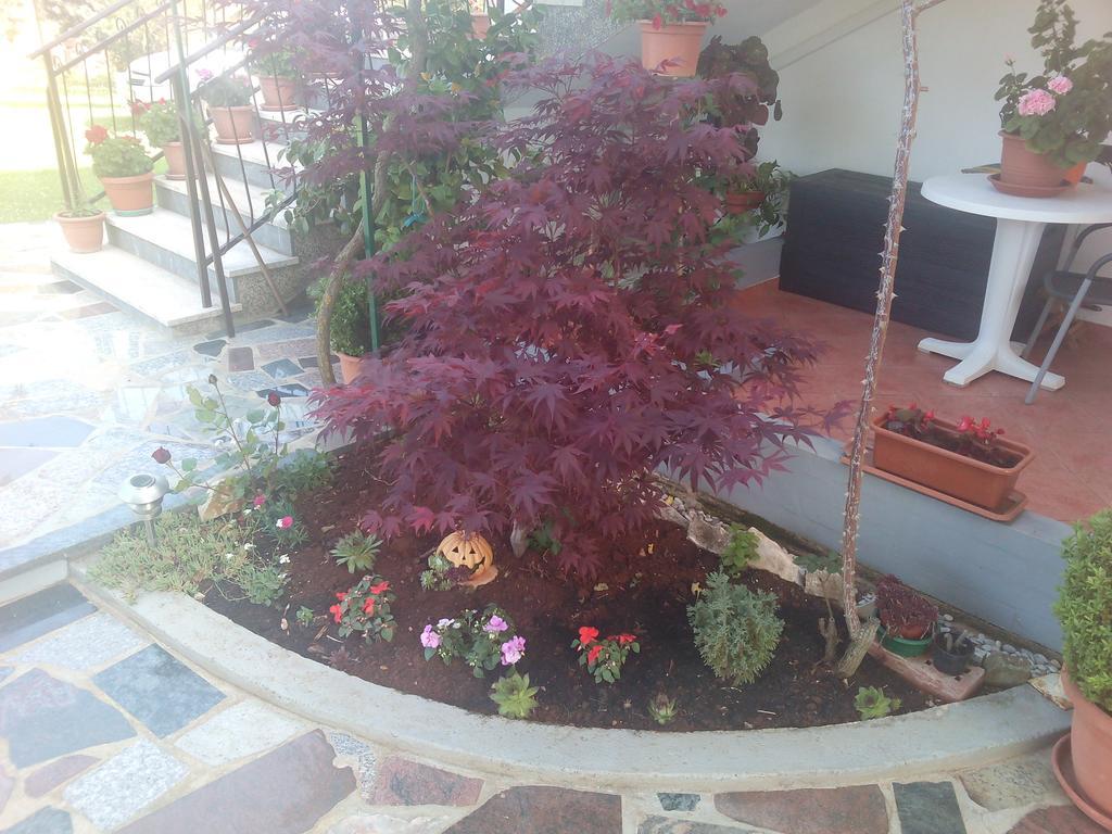 Apartment Gogo Umag Buitenkant foto
